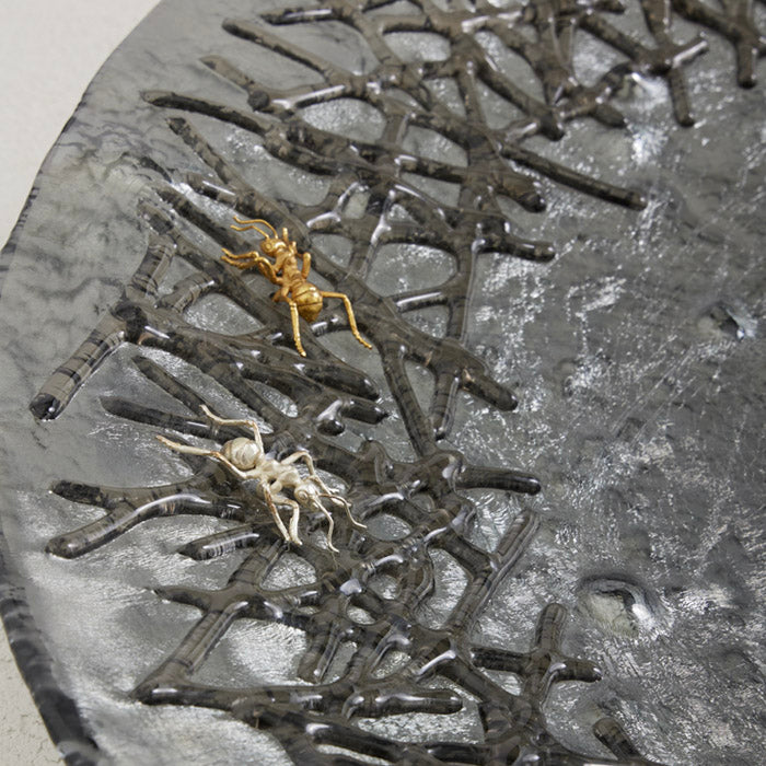 TERMITES WAR LISOWSKI