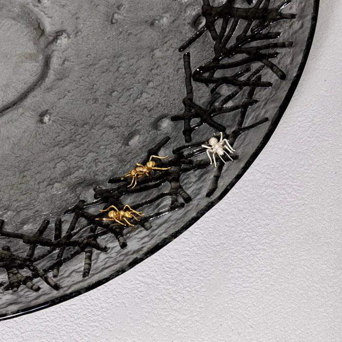 TERMITES WAR LISOWSKI