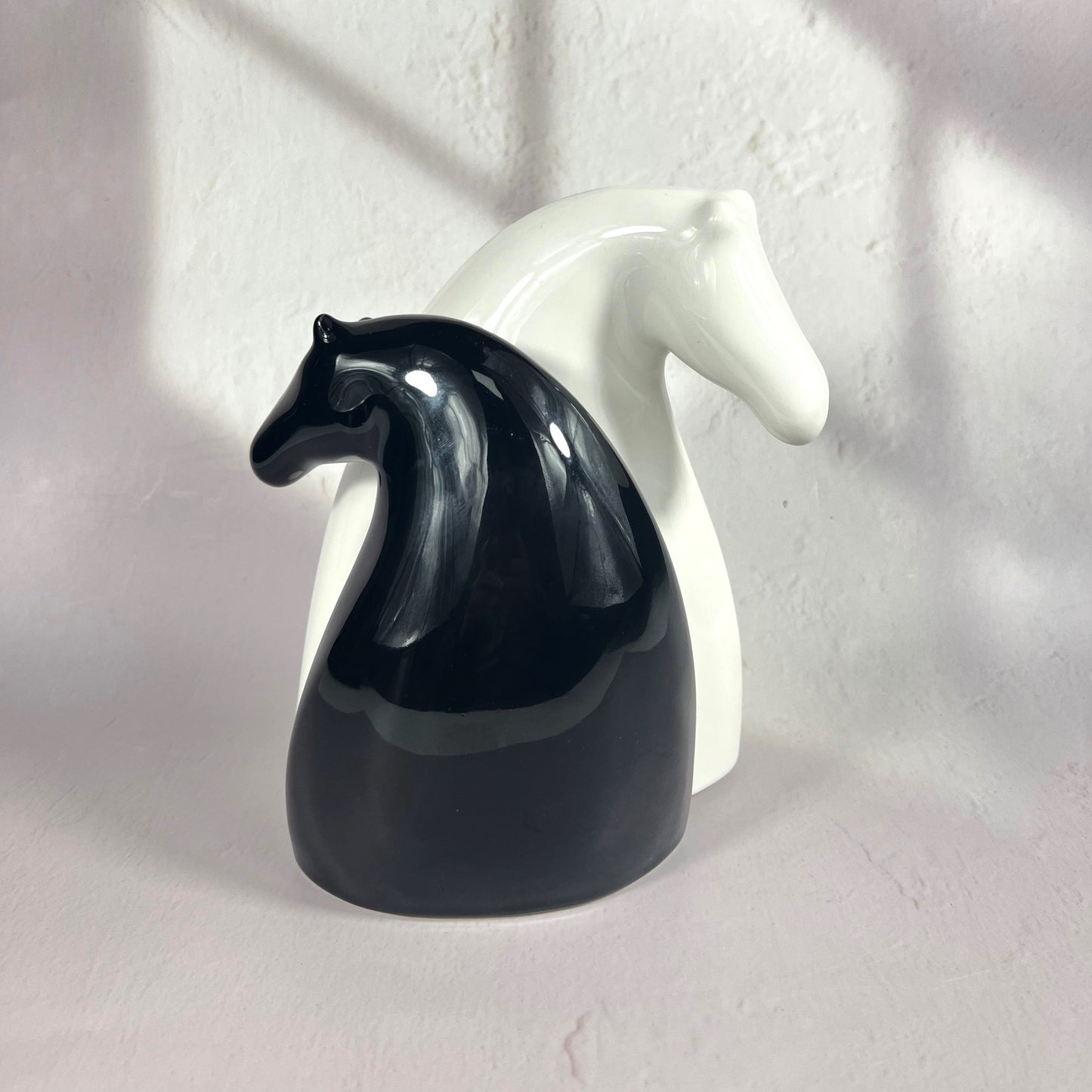 BLACK & WHITE HORSE