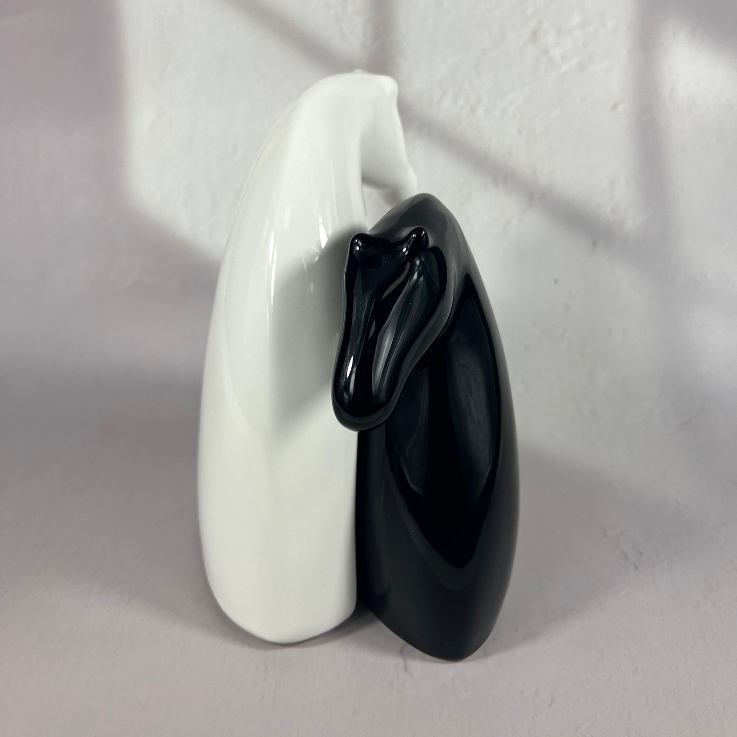 BLACK & WHITE HORSE