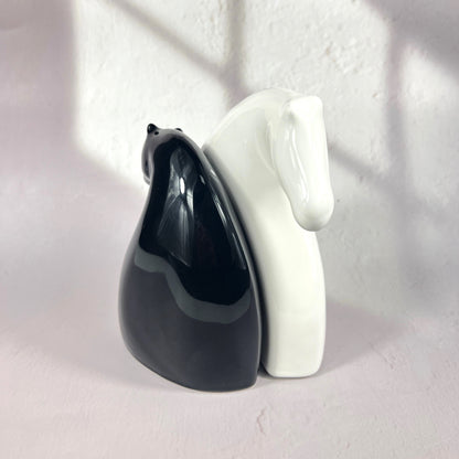 BLACK & WHITE HORSE