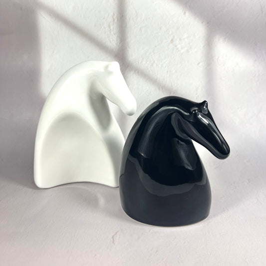 BLACK & WHITE HORSE