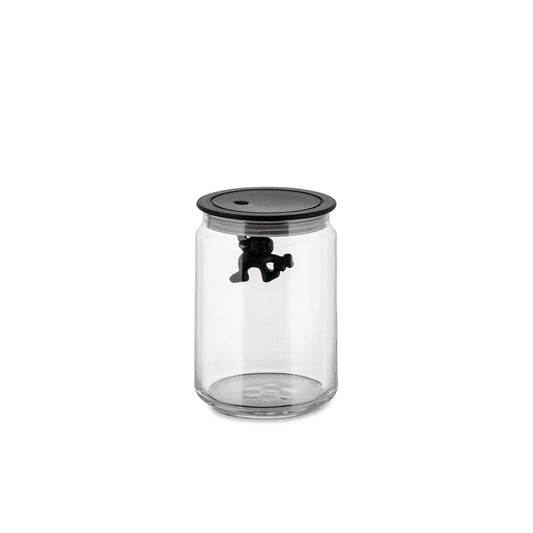 "GIANNI" GLASS BOX L B